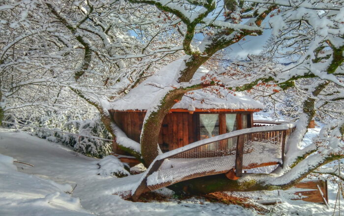 Cabañas en árboles con nieve