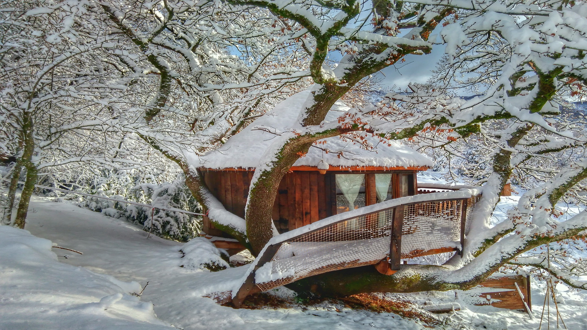Cabañas en árboles con nieve